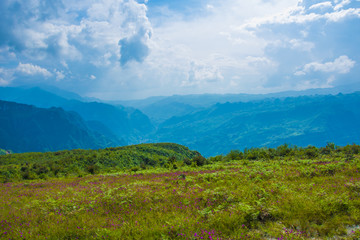高山草场