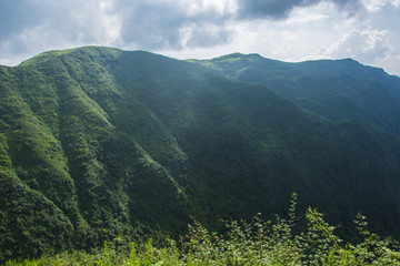 青山