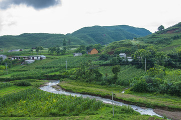 山水人家