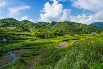山顶风光