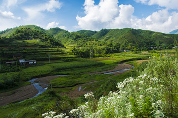 山地风光