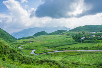 草地溪水