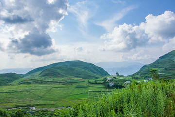 高山草地