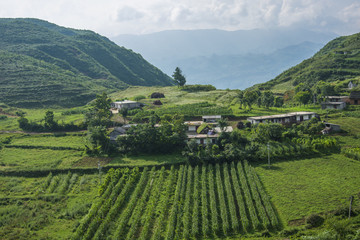 田园风光