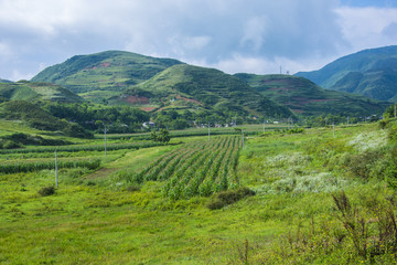 山地