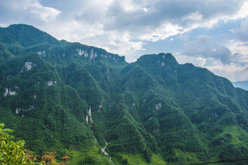 青山
