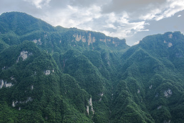 青山