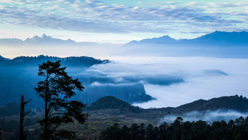 王岗坪