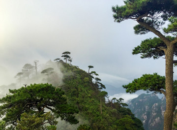 三清山怪石云雾