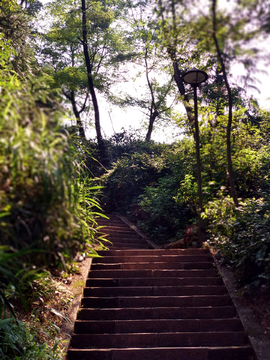 登山台阶