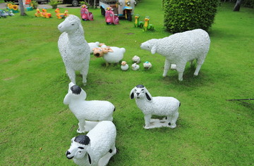 绵羊模型