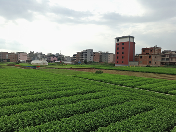 乡村风貌