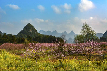 春暖花开