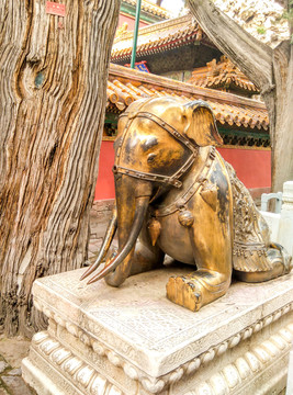 北京故宫大象雕塑