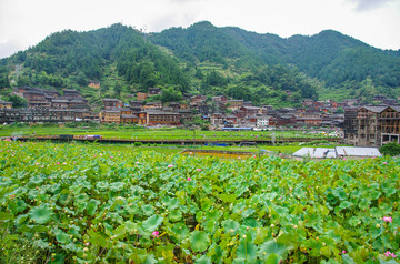 西江风景