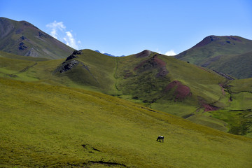 天山风光