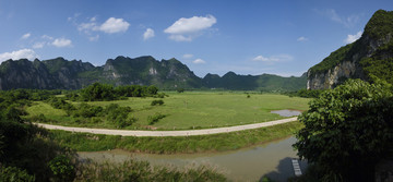 湿地