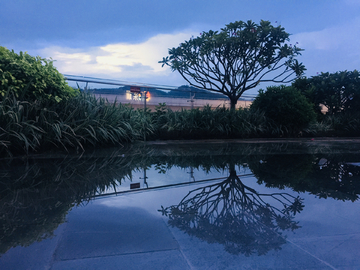 雨后风景