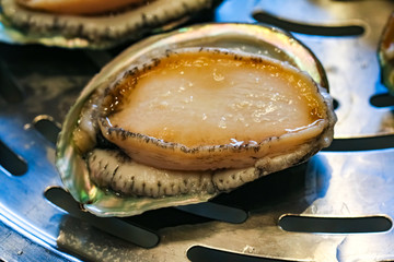大连鲍