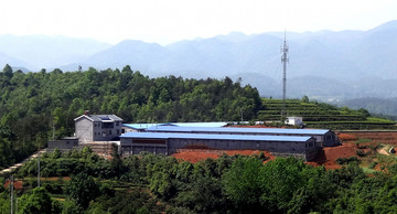 养鸡场