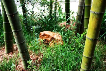 竹林音响