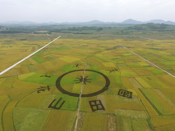 花山田园