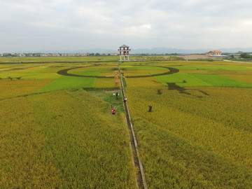 花山田园