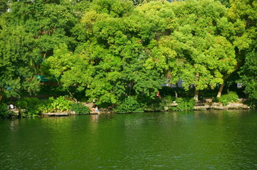 湖水树木