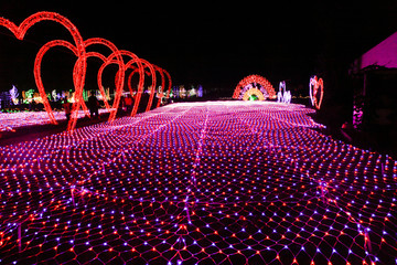 花灯展
