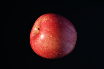苹果高清摄影