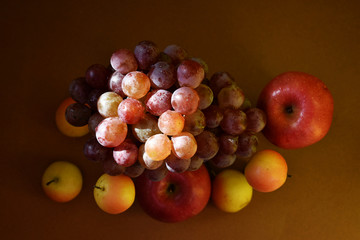 水果组合摄影