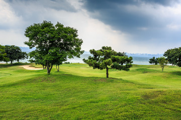 刘公岛上的蓝天白云绿树草坪