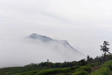 云海
