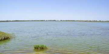 金马湖的主湖