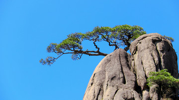 黄山风光