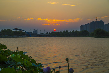 莒南鸡龙河湿地公园