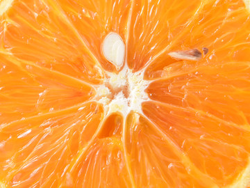 切开的橙子血橙