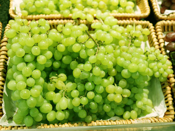 新疆绿葡萄