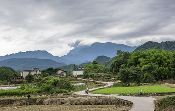 乡间小路