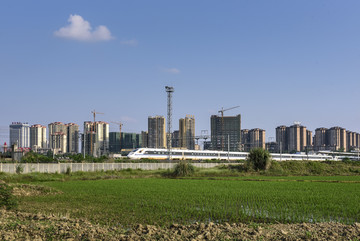 城市稻田行驶中的高铁