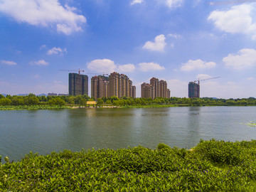 莒南鸡龙河生态湿地公园