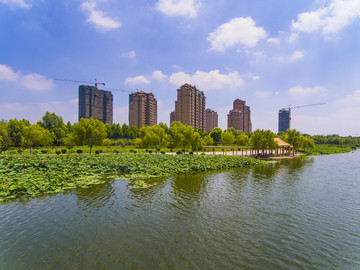 莒南鸡龙河生态湿地公园