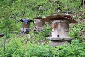 养蜂场