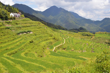 云和梯田