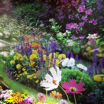 花海