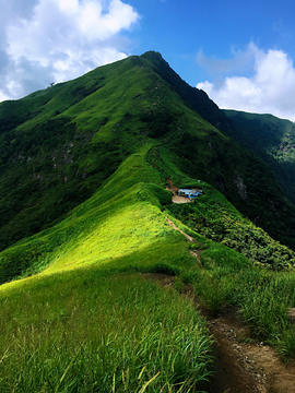 高山草场