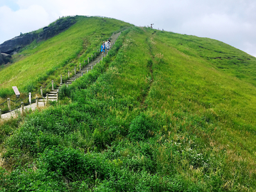 高山草场