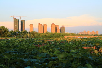 莒南县鸡龙河水利风景区