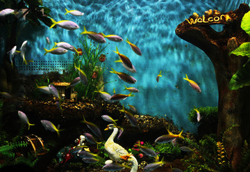 水族馆