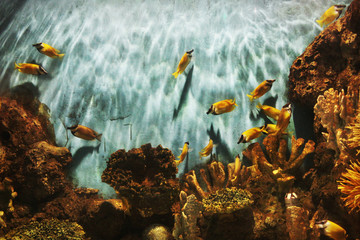 水族馆